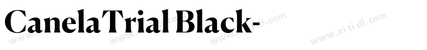 CanelaTrial Black字体转换